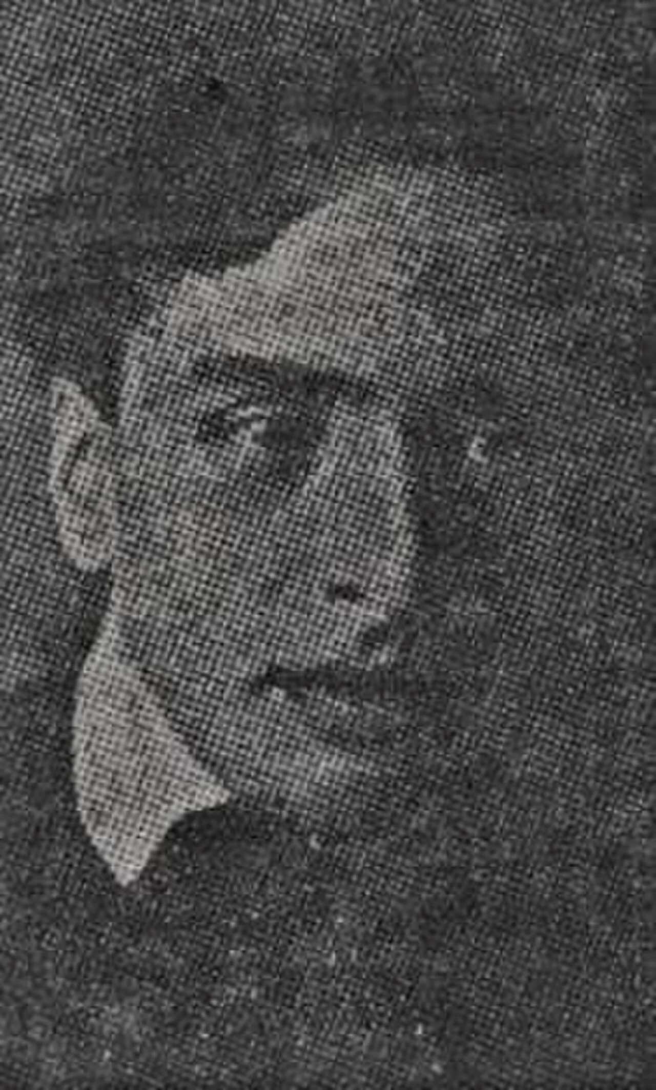 Enric Lluelles