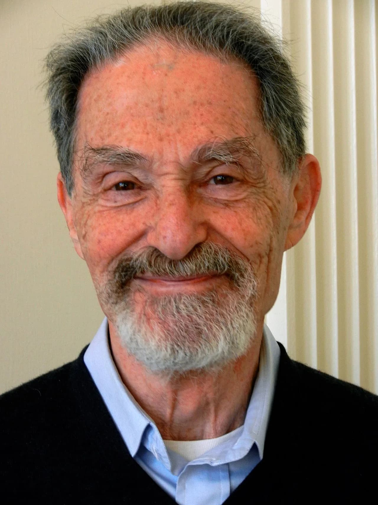 Henry Metzger