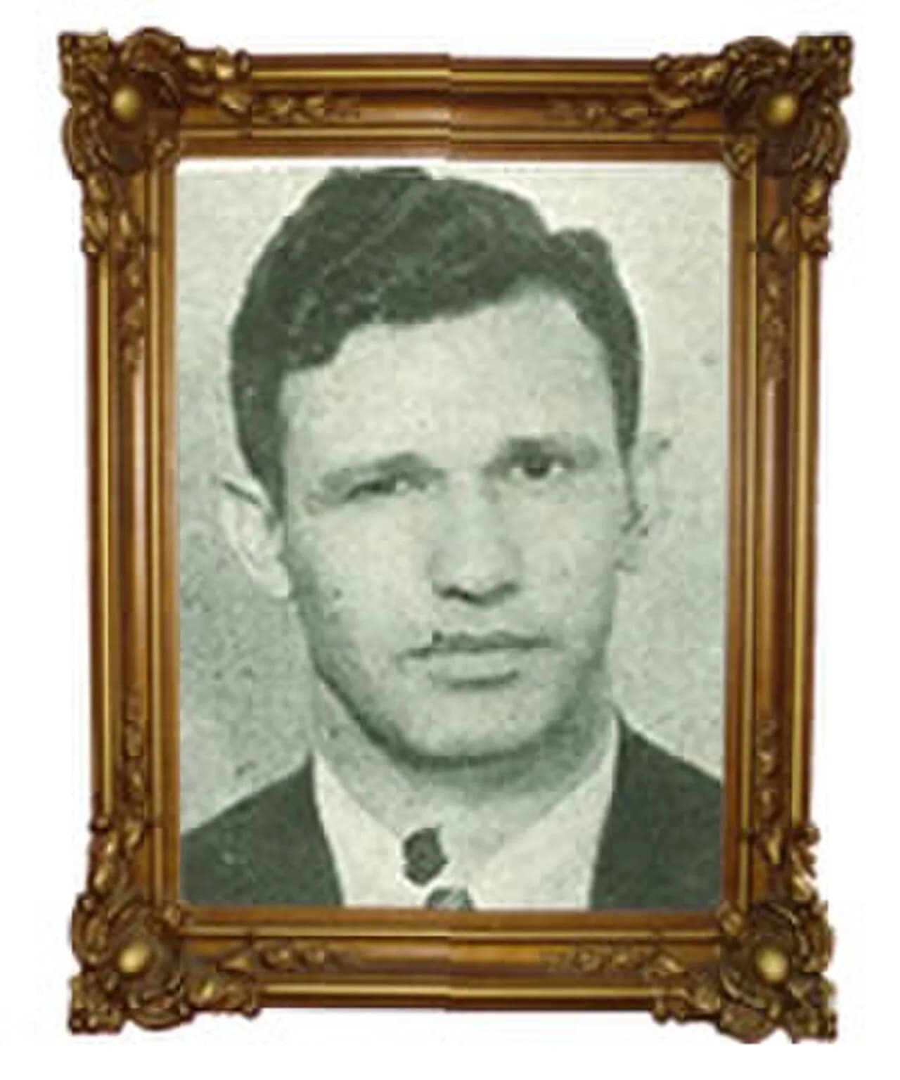 Fran Martins