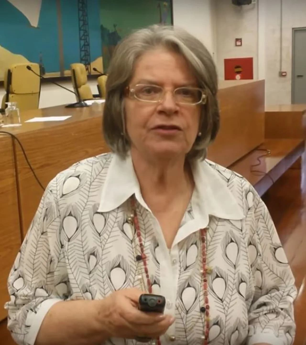 Lisete Arelaro