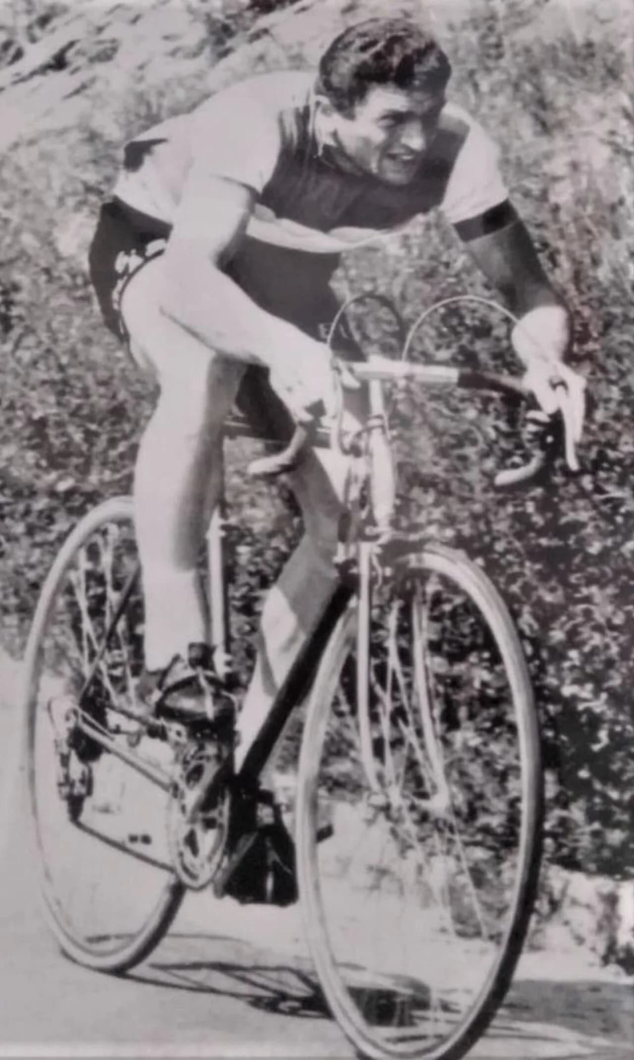Cesarino Carpanelli