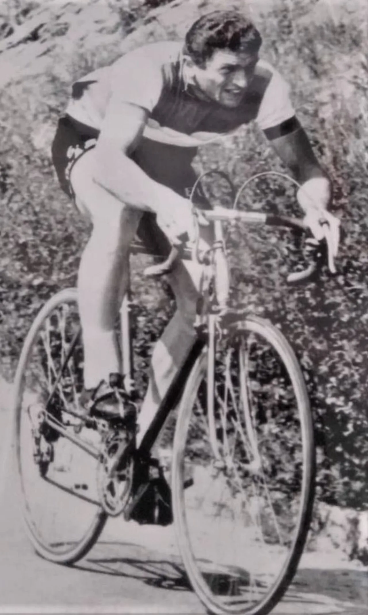 Cesarino Carpanelli