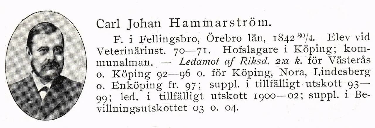 Carl Johan Hammarström