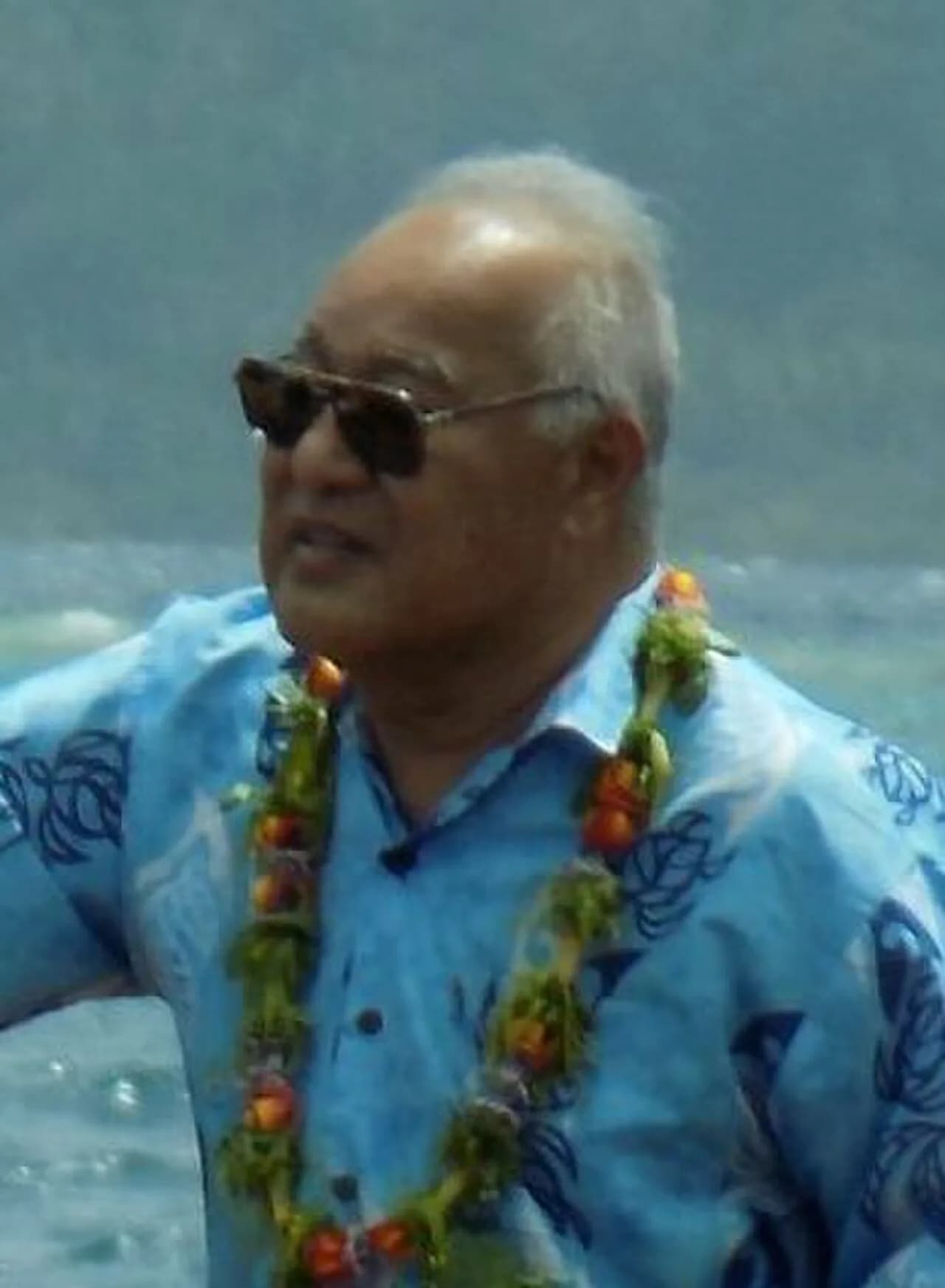 Lorin S. Robert