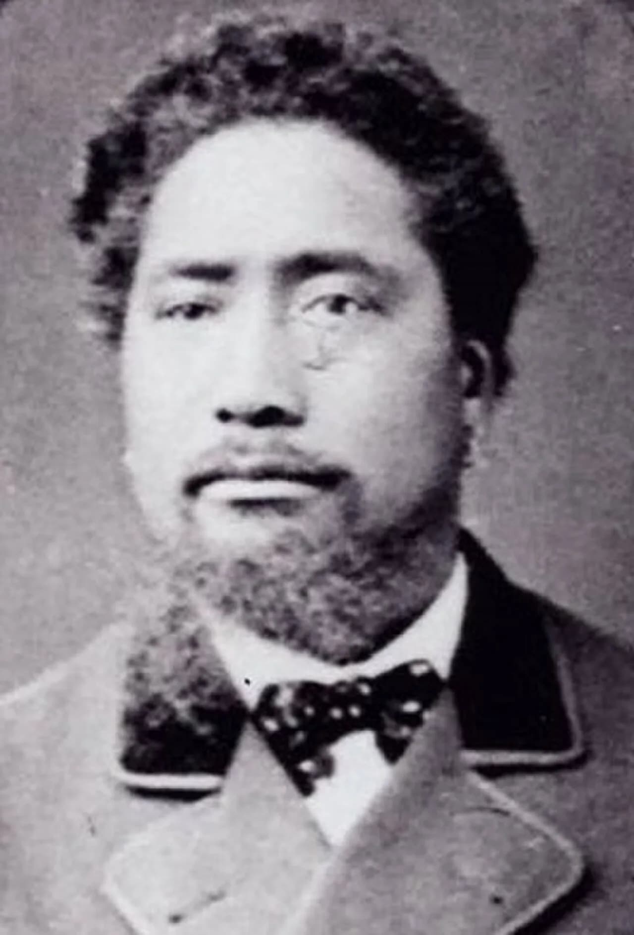 Hoani Nahi