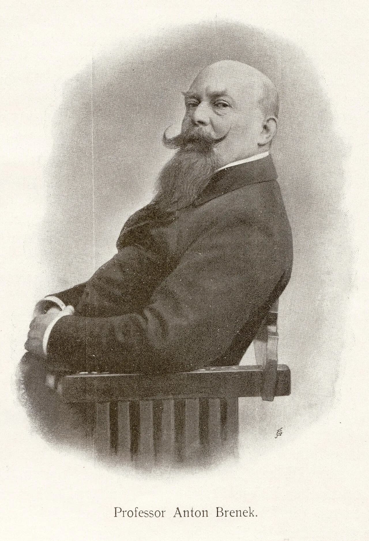 Anton Brenek