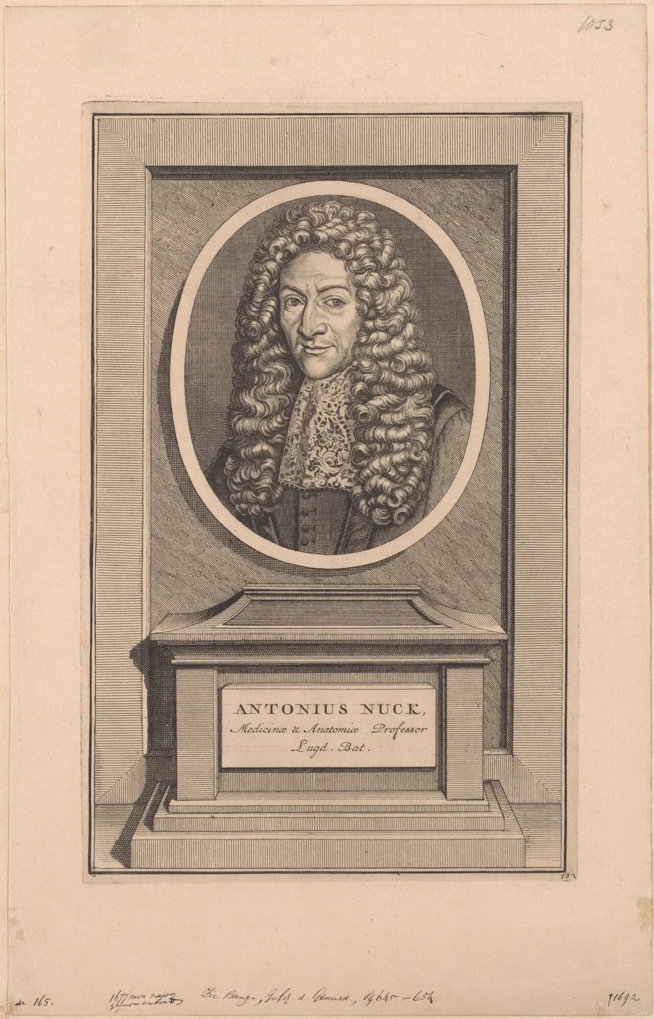 Antonius Nuck