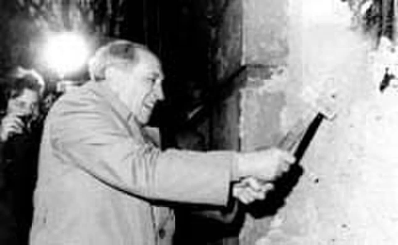José Pedro Cardoso