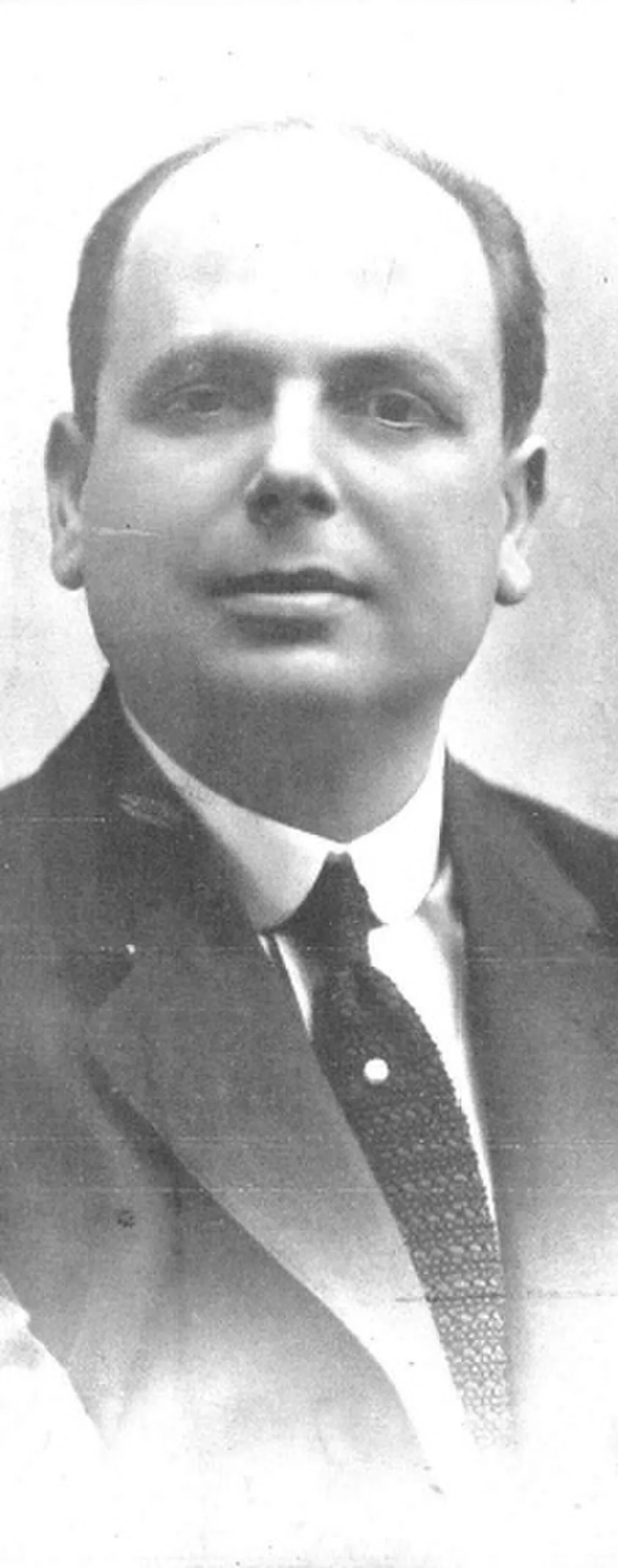 José Tallaví