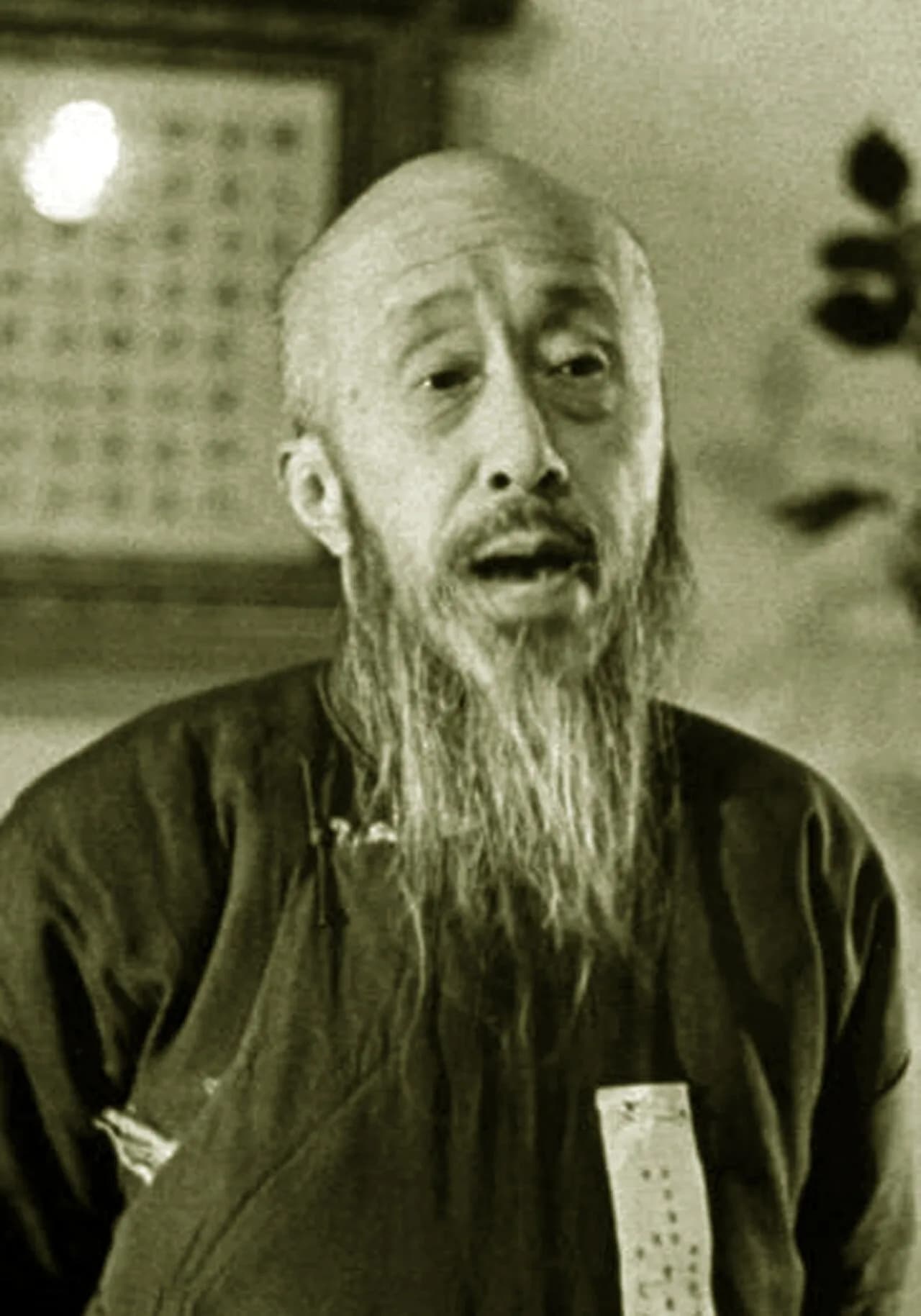 Shen Junru