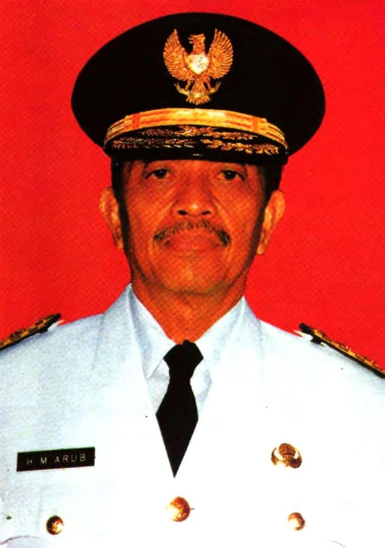 Mohammad Arub