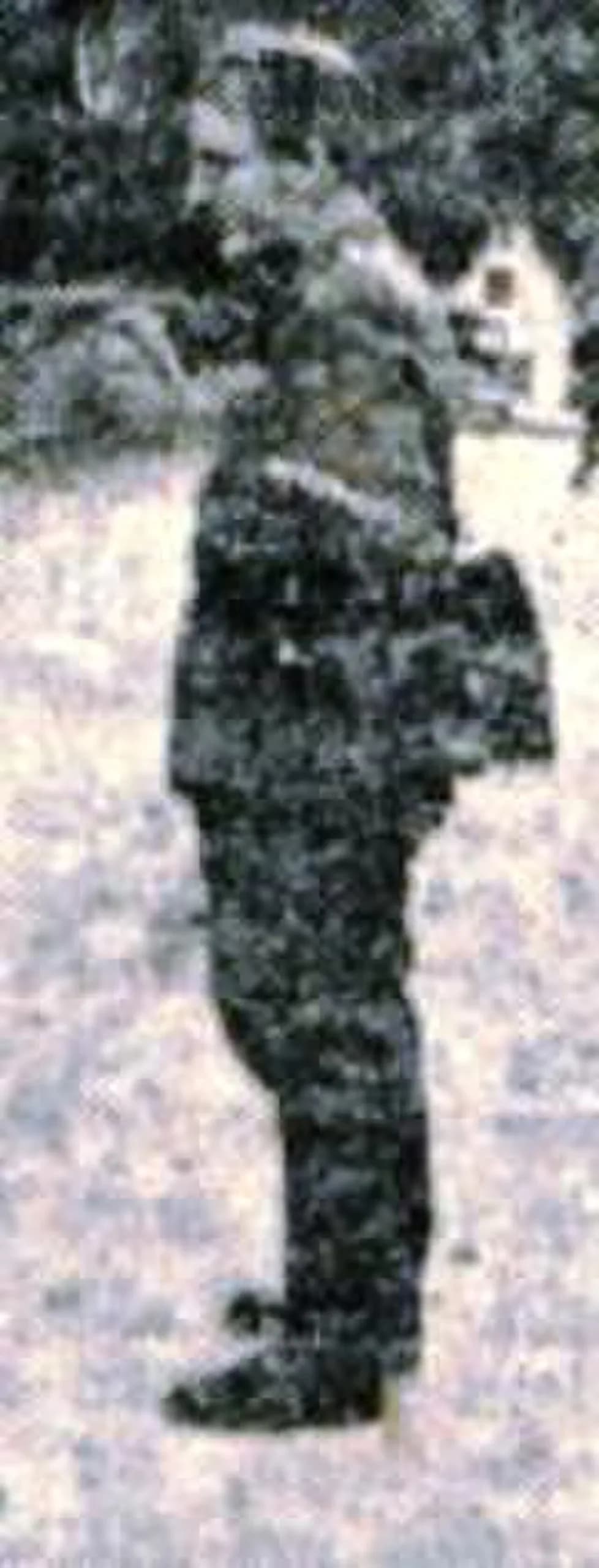 Jože Štok