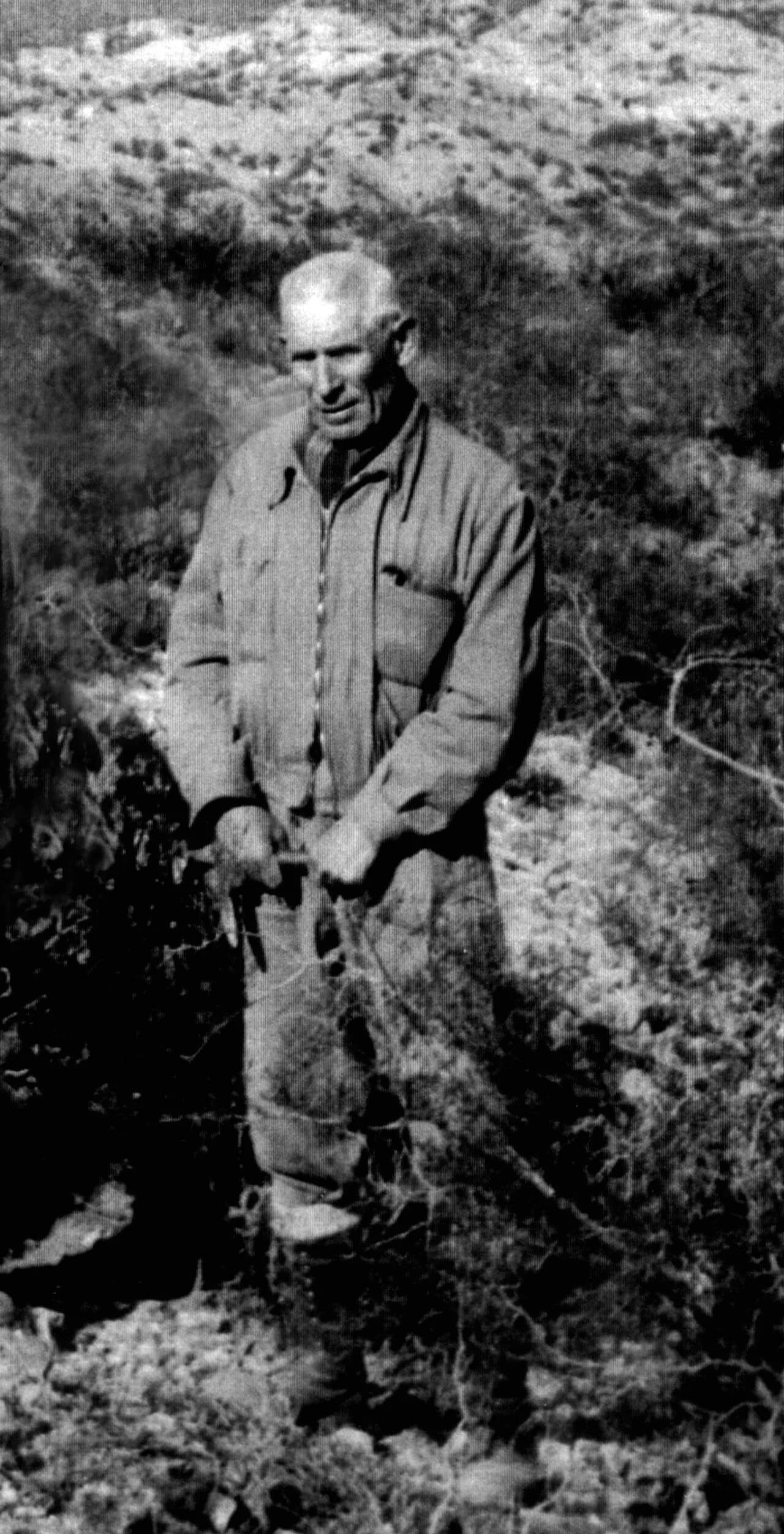Manuel Tellechea
