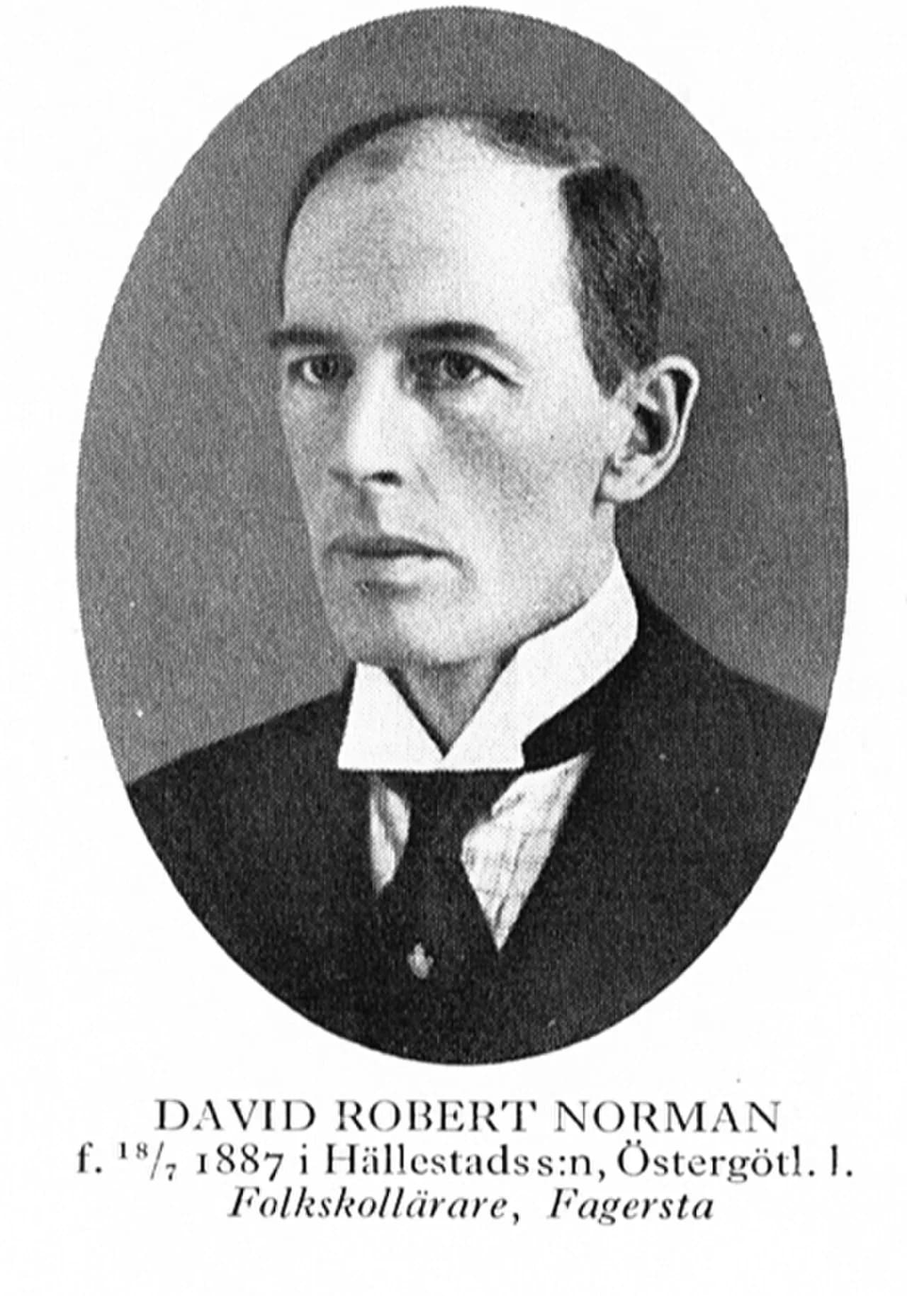 David Norman