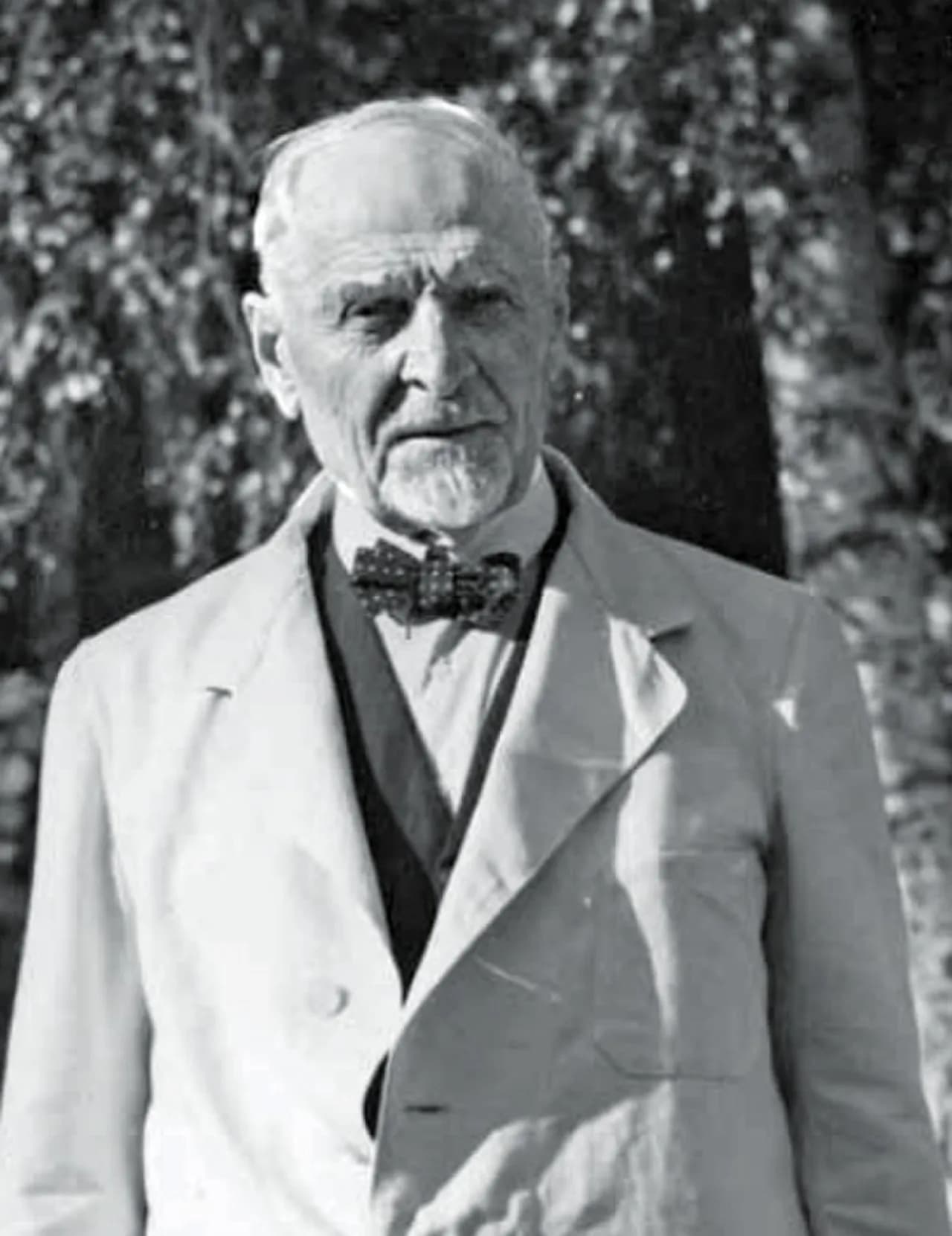 Alfred Paloheimo