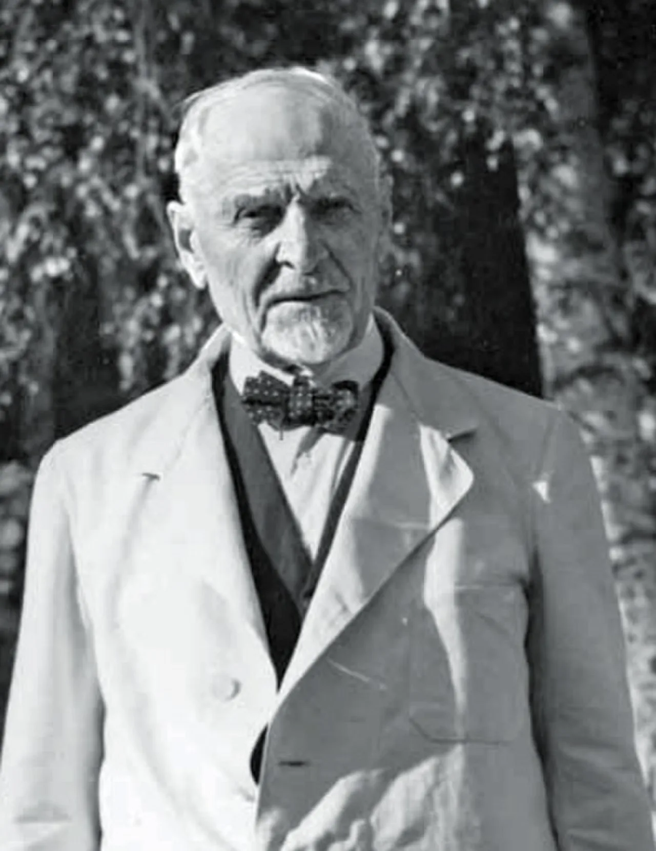 Alfred Paloheimo