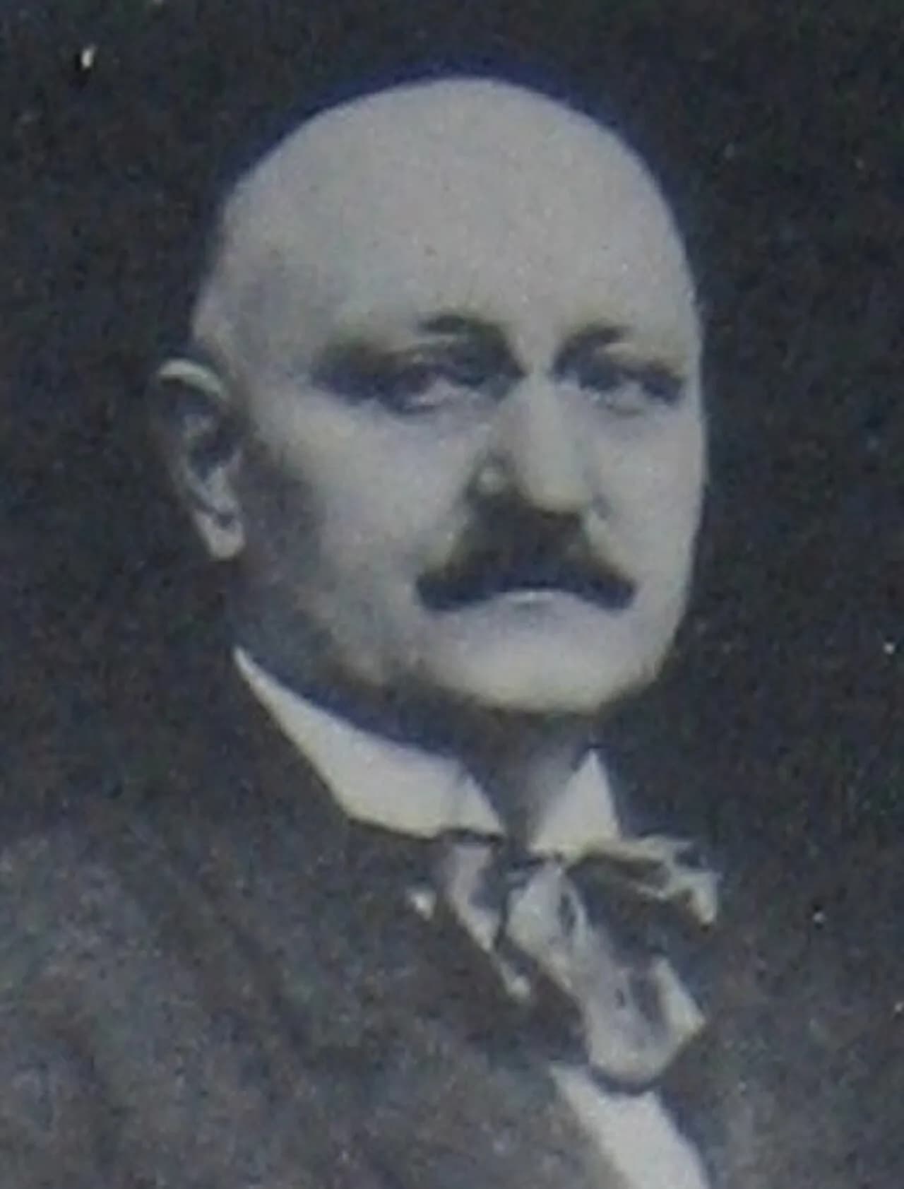 Ion Vidu