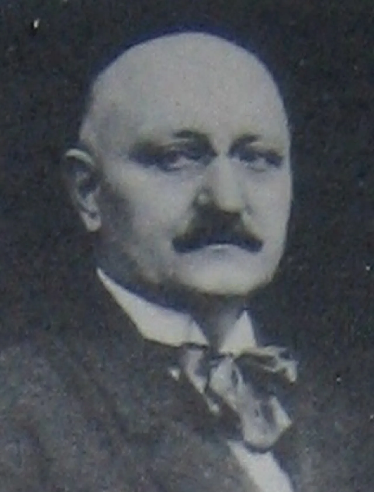Ion Vidu
