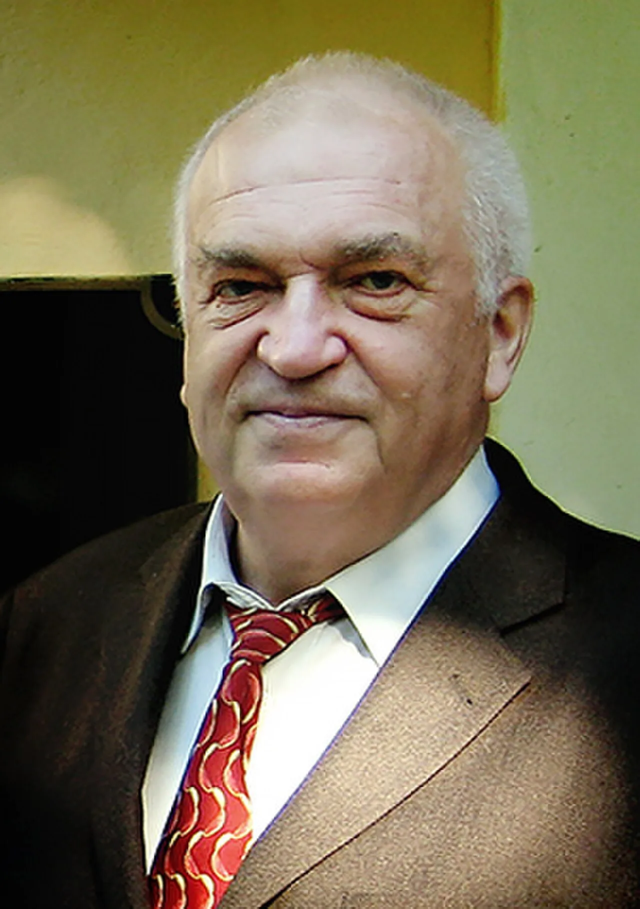 Vladimir Palmov