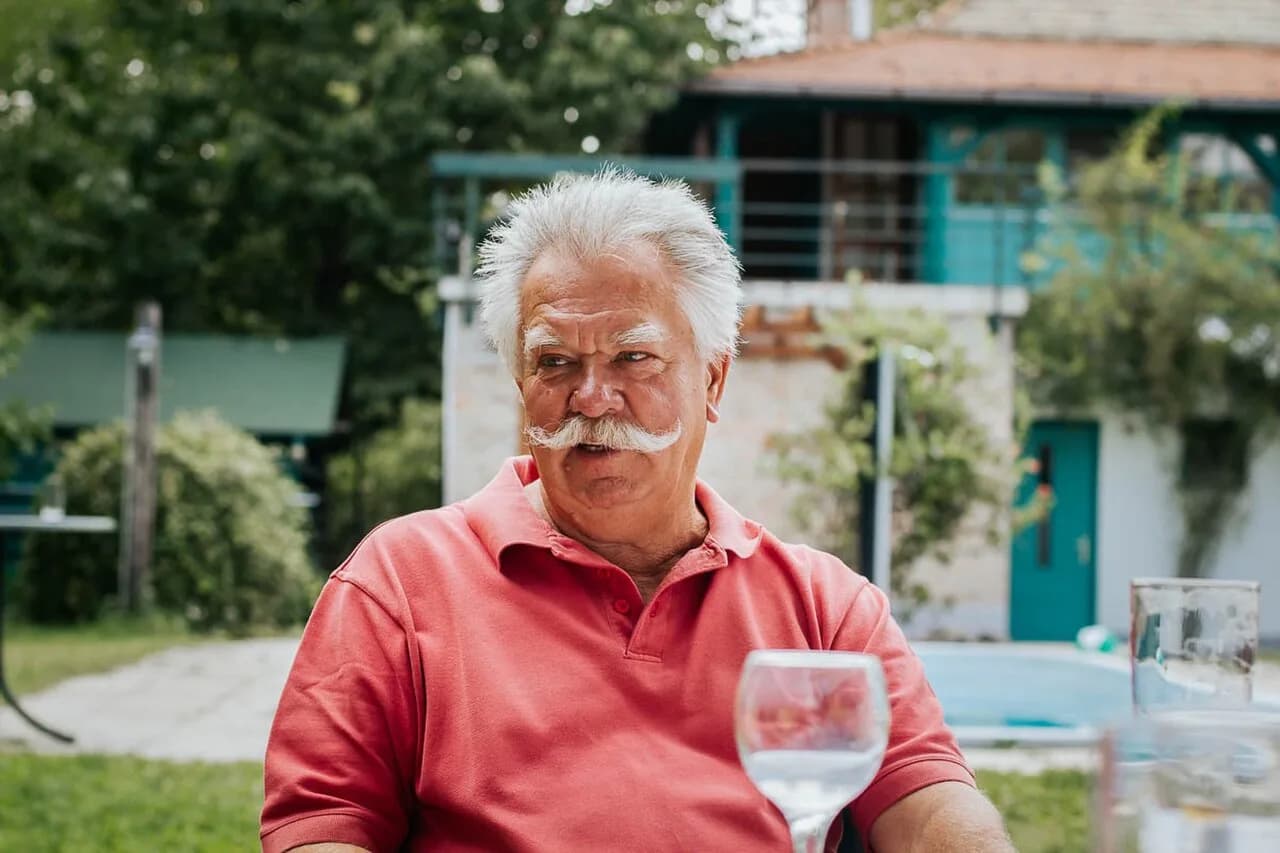 Gyula Gullner