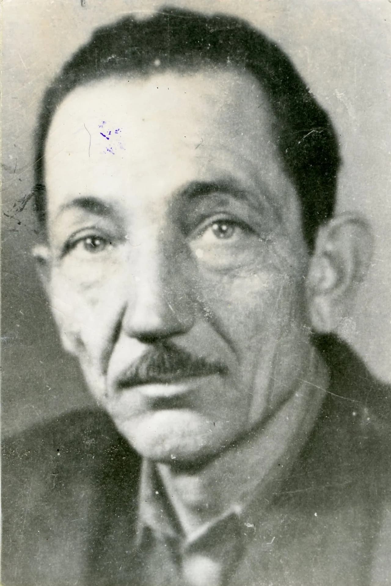 Mihajlo Aladić