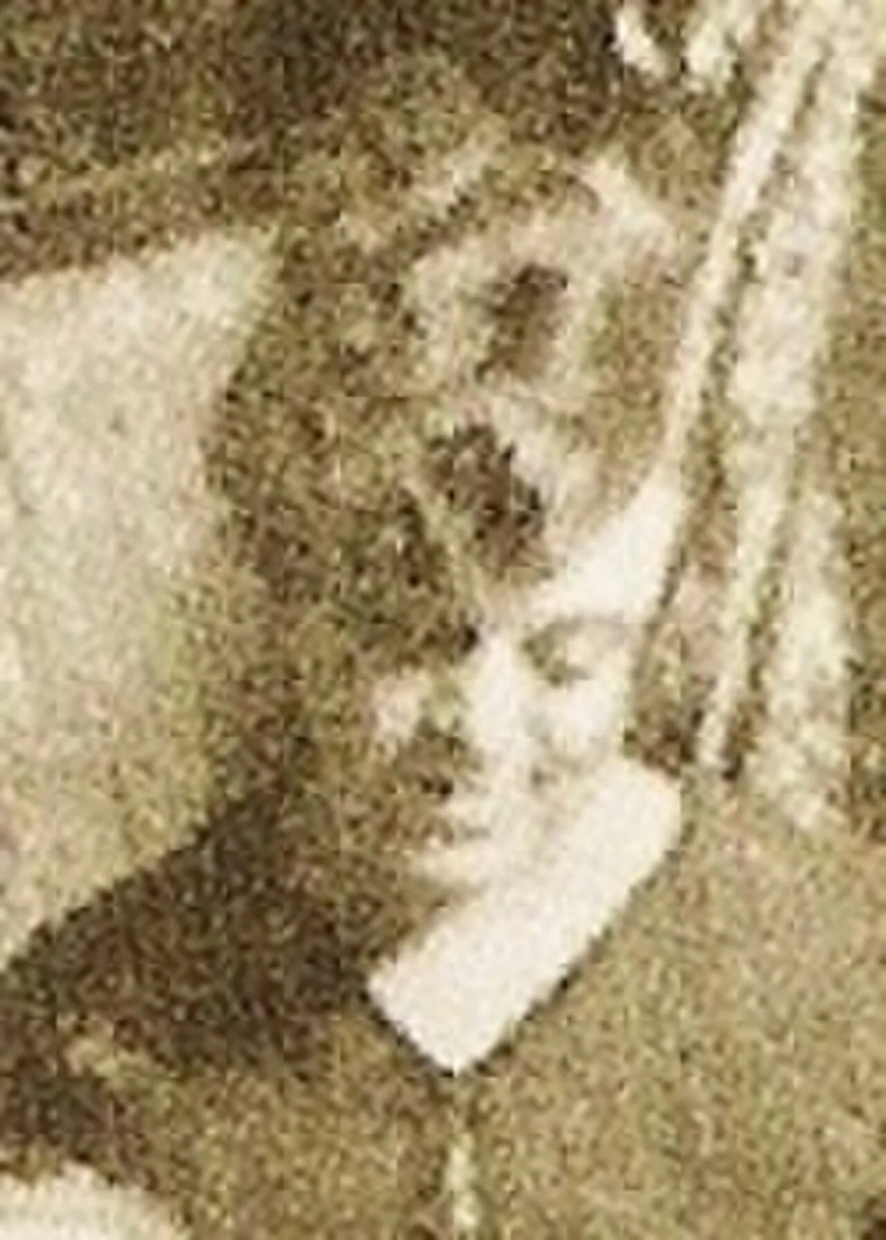 Teodora Zuloaga