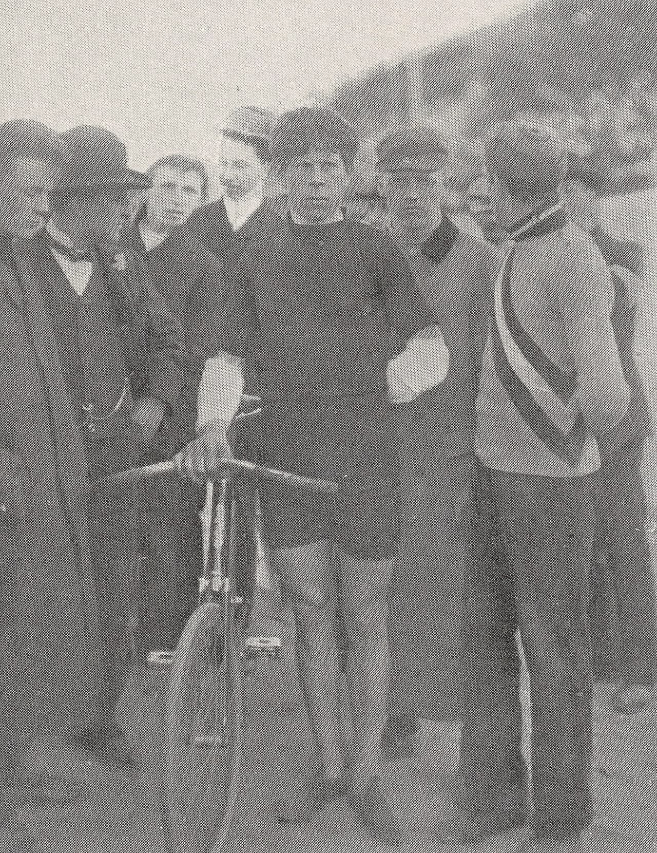 Karl Käser
