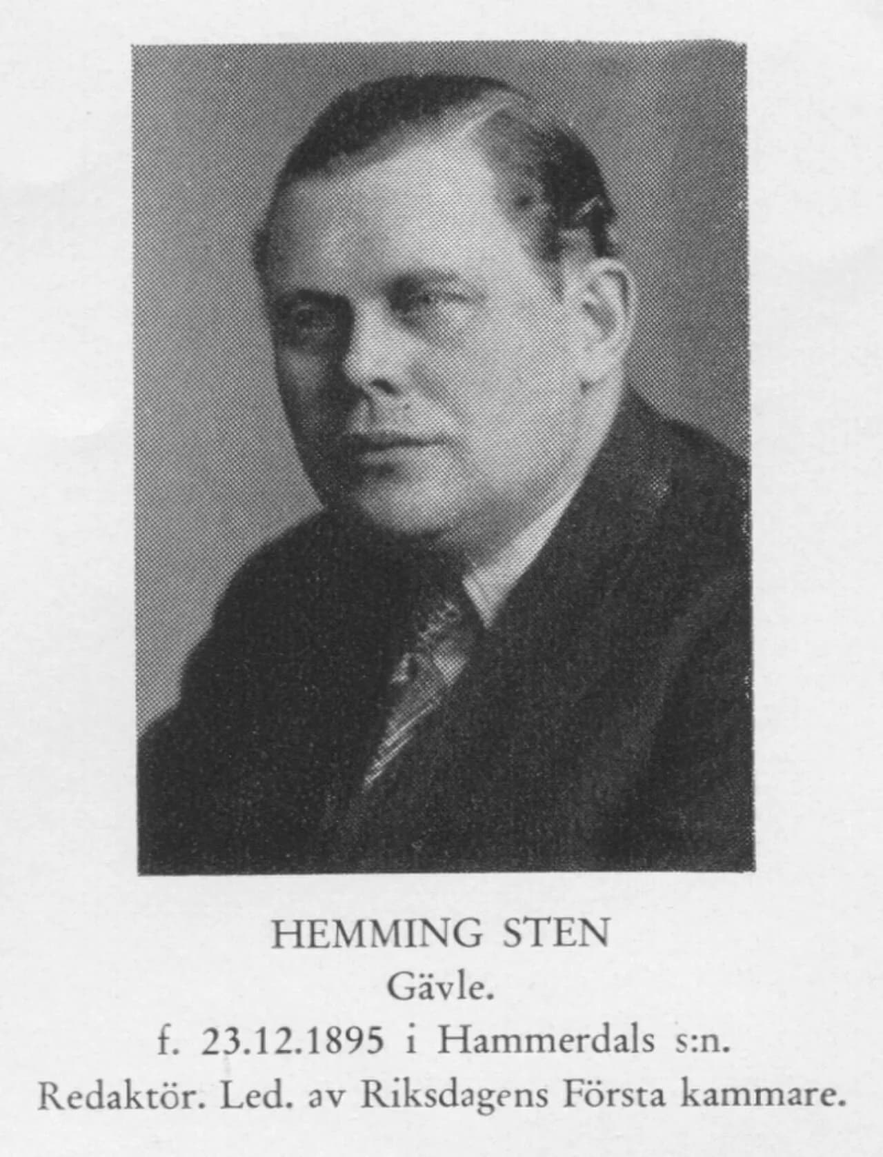 Hemming Sten