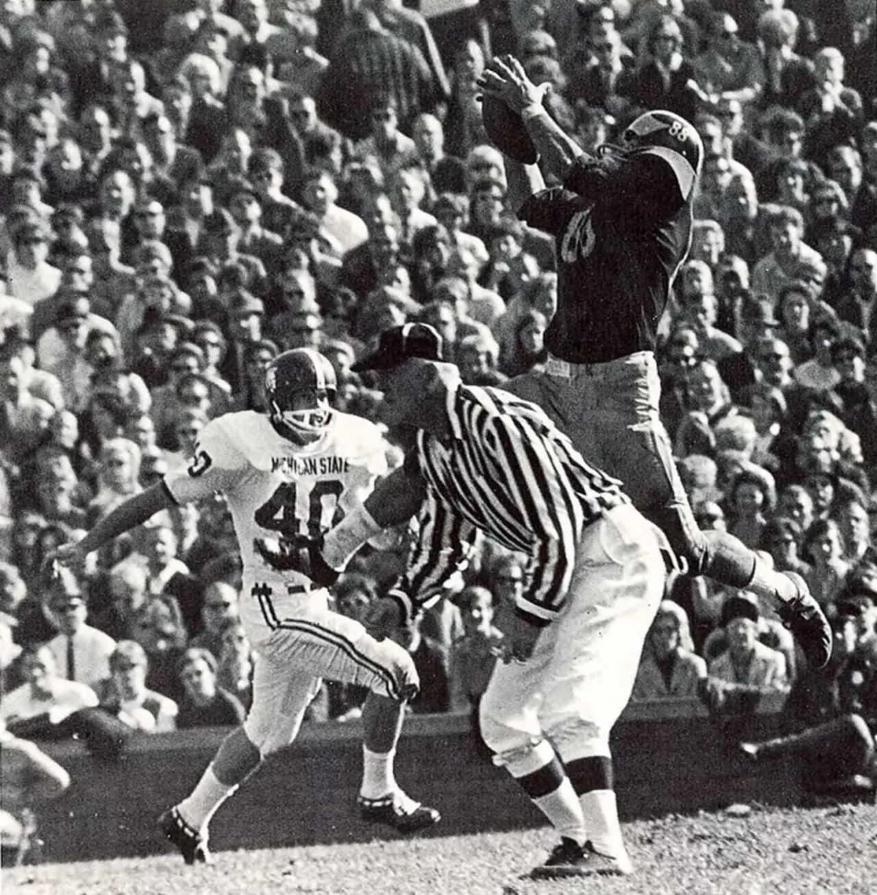 Jim Mandich