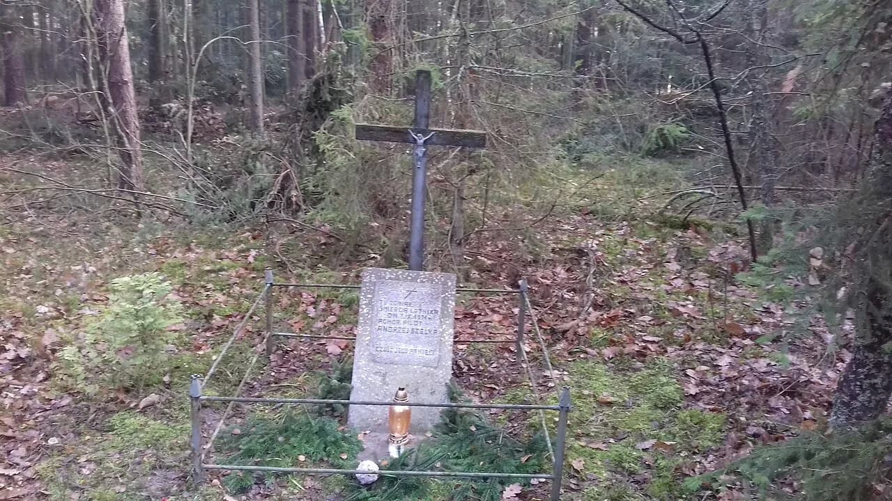 Andrzej Szelka