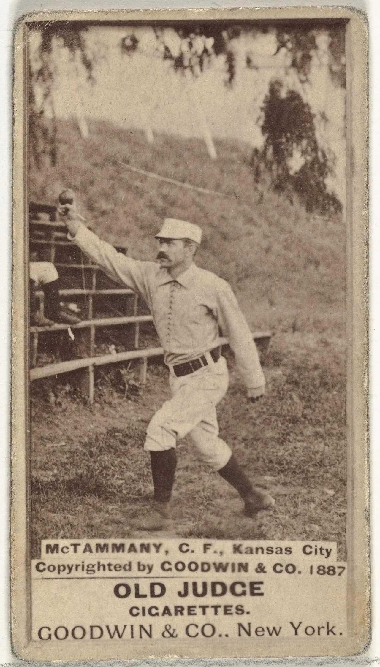 Jim McTamany