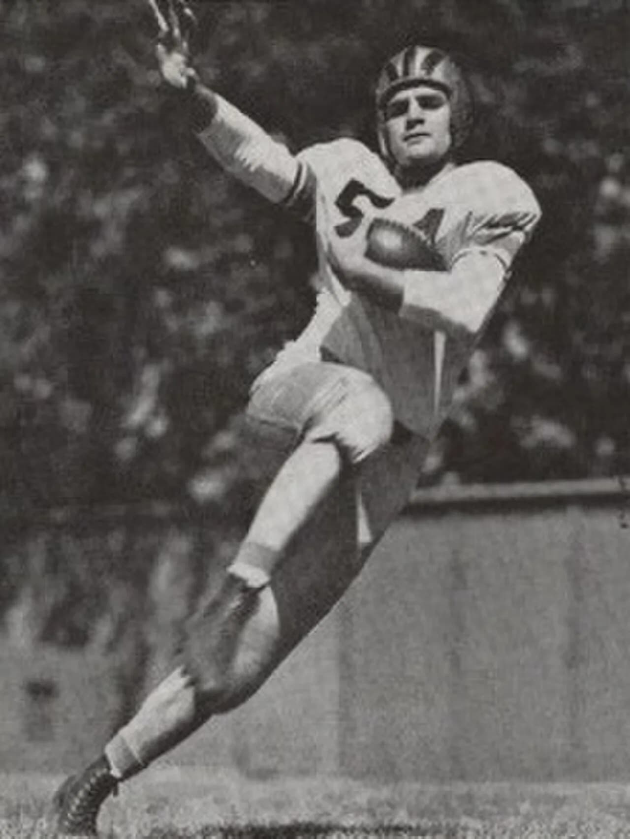Joe Mihal