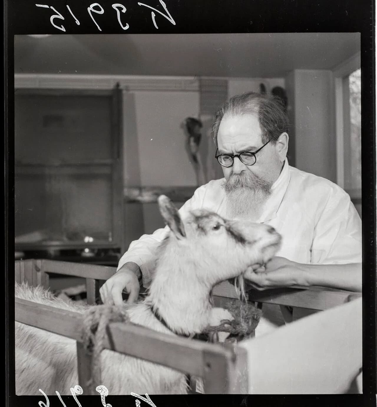 Aron Westerlund