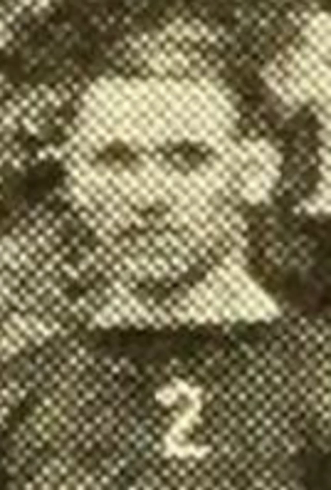 Joseph DuMoe