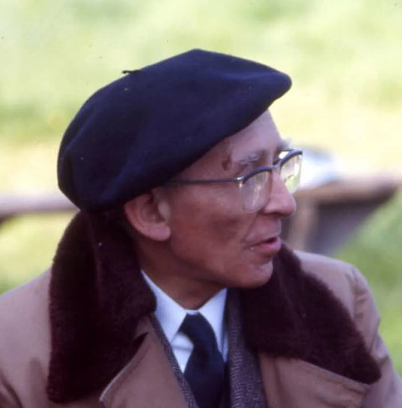 Henri Romagnesi