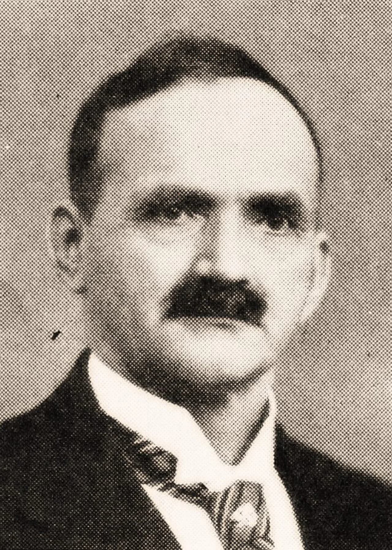 E.L. Staveli