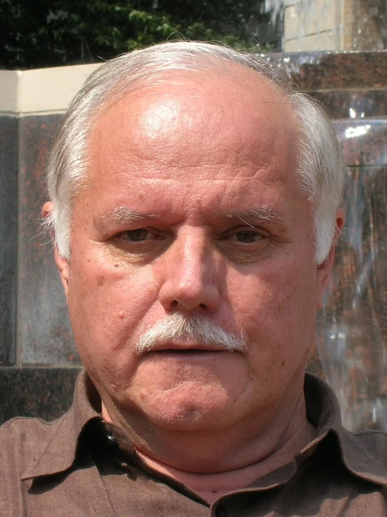 Kemal Kurspahić
