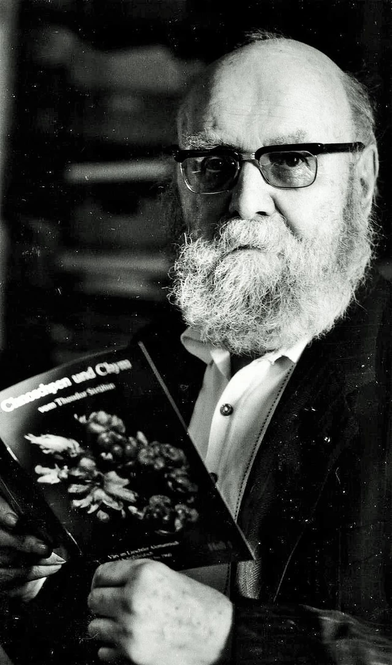 Theodor Strübin