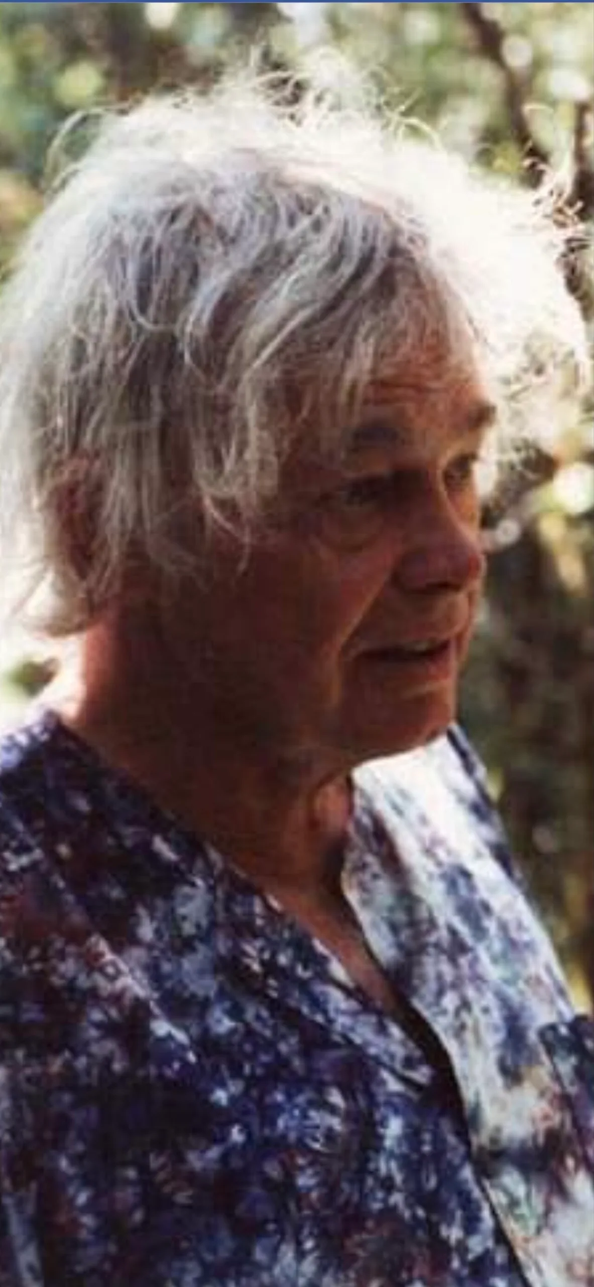 Theo Gerber