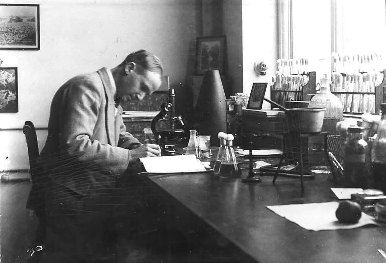Lawrence Ogilvie