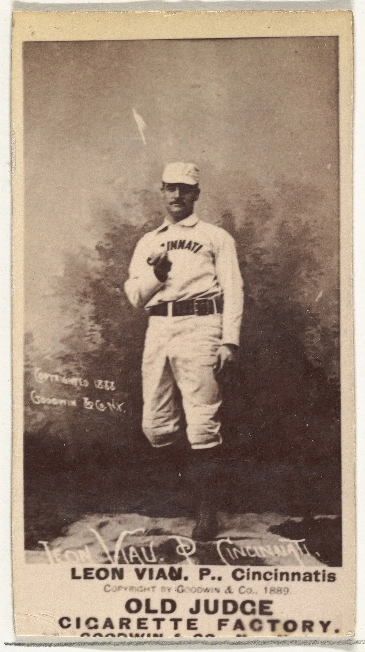 Lee Viau