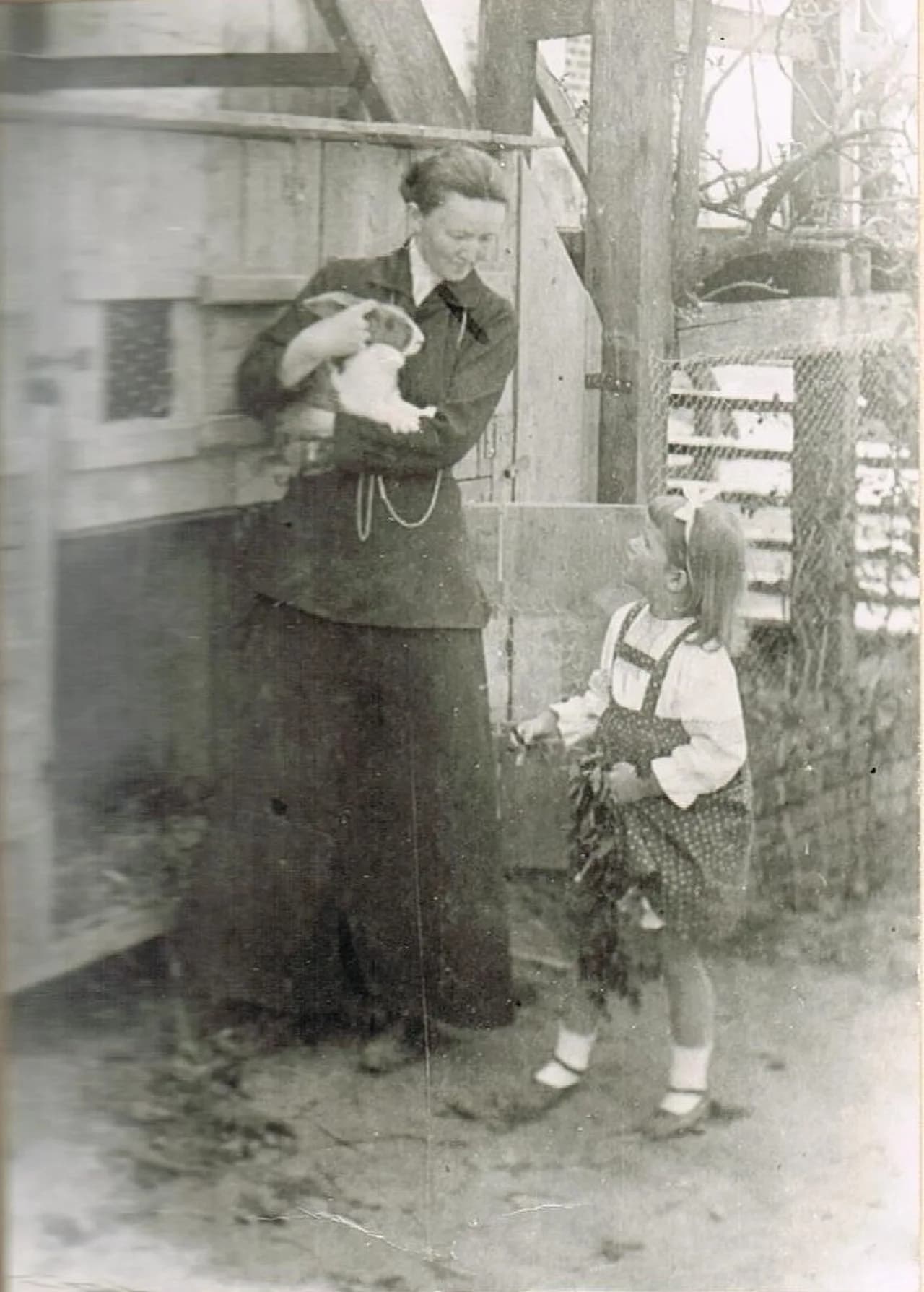 Erminia von Olfers-Batocki