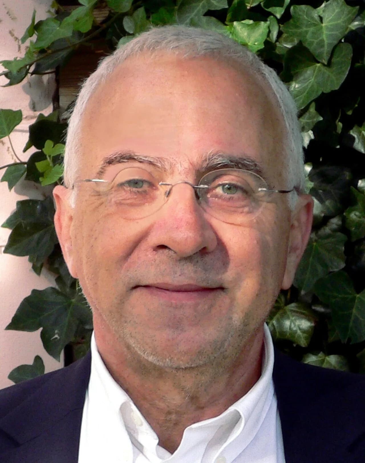 Loet Leydesdorff