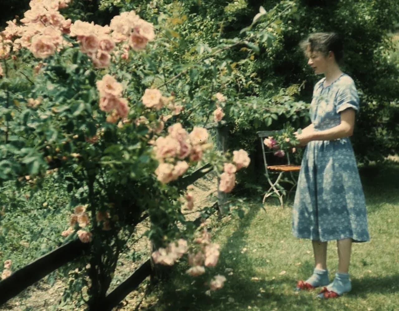 Elisabeth Handschin