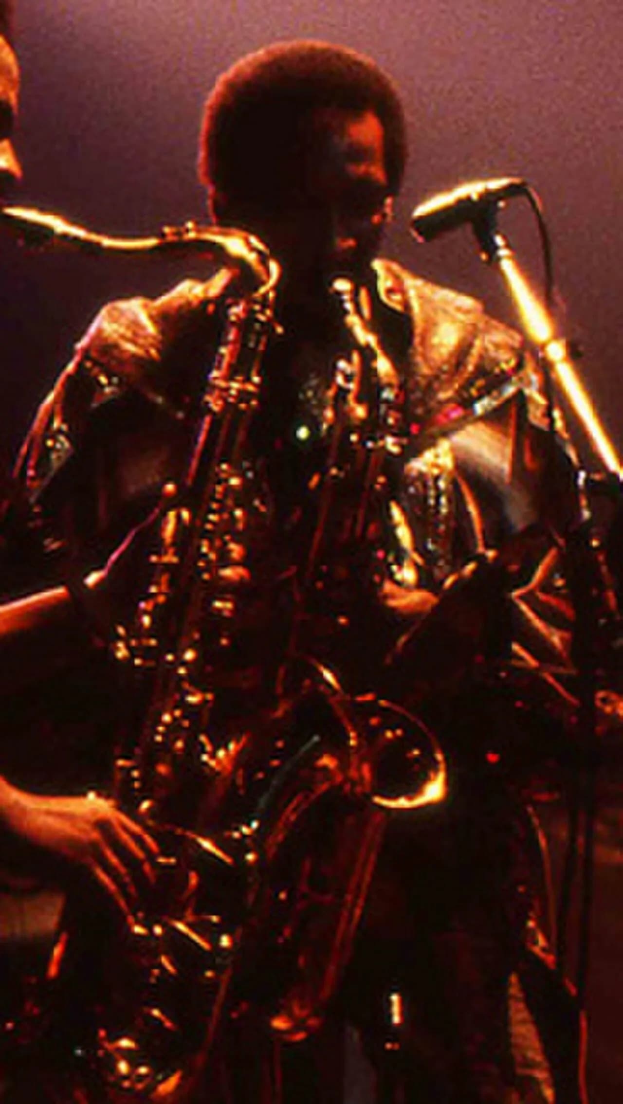 Louis Satterfield