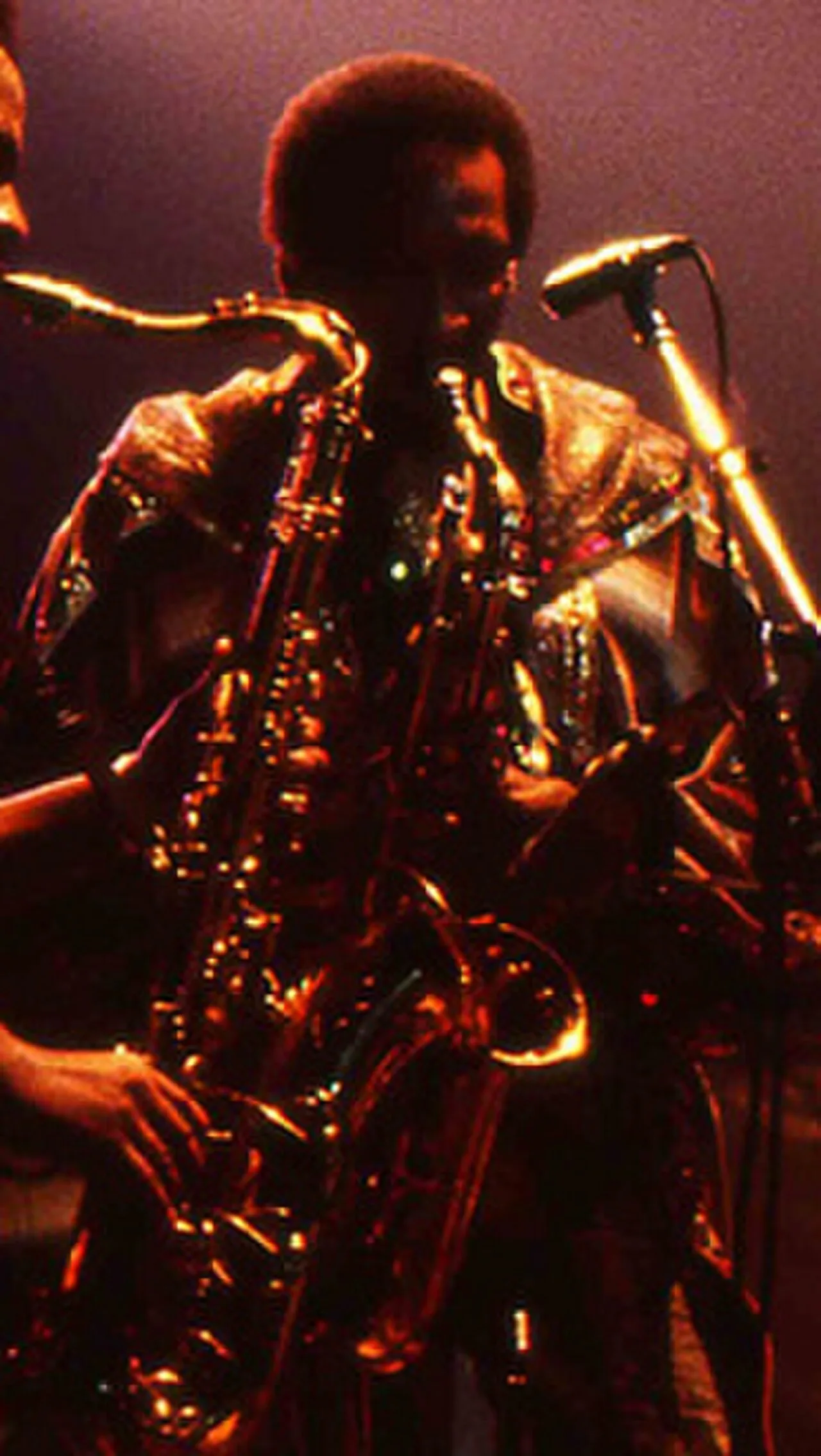 Louis Satterfield