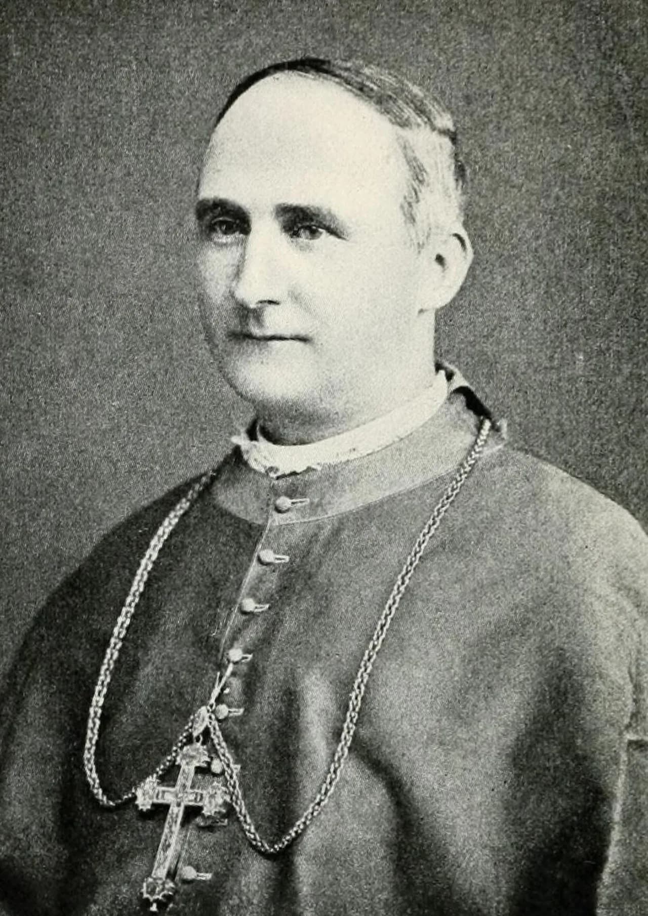 Matthew Harkins