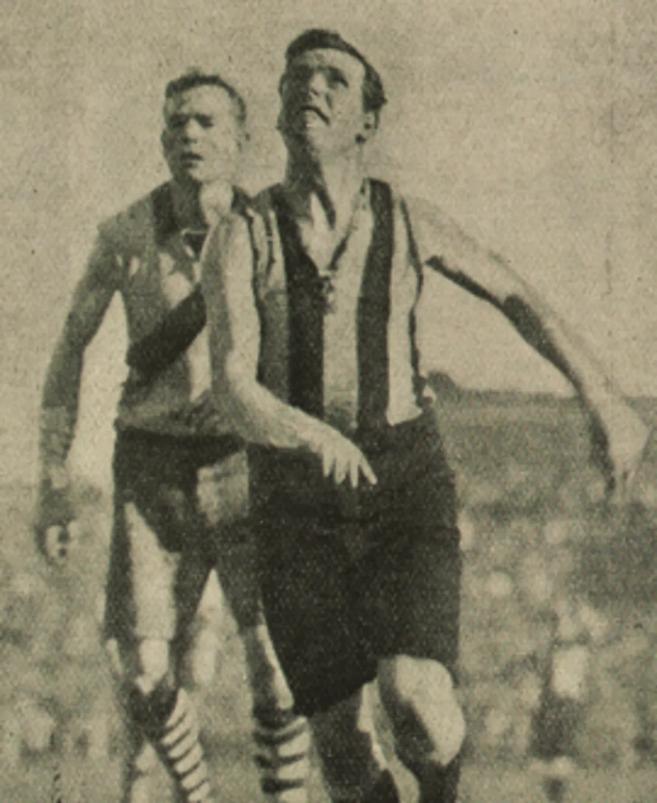 Maurie Sheehy