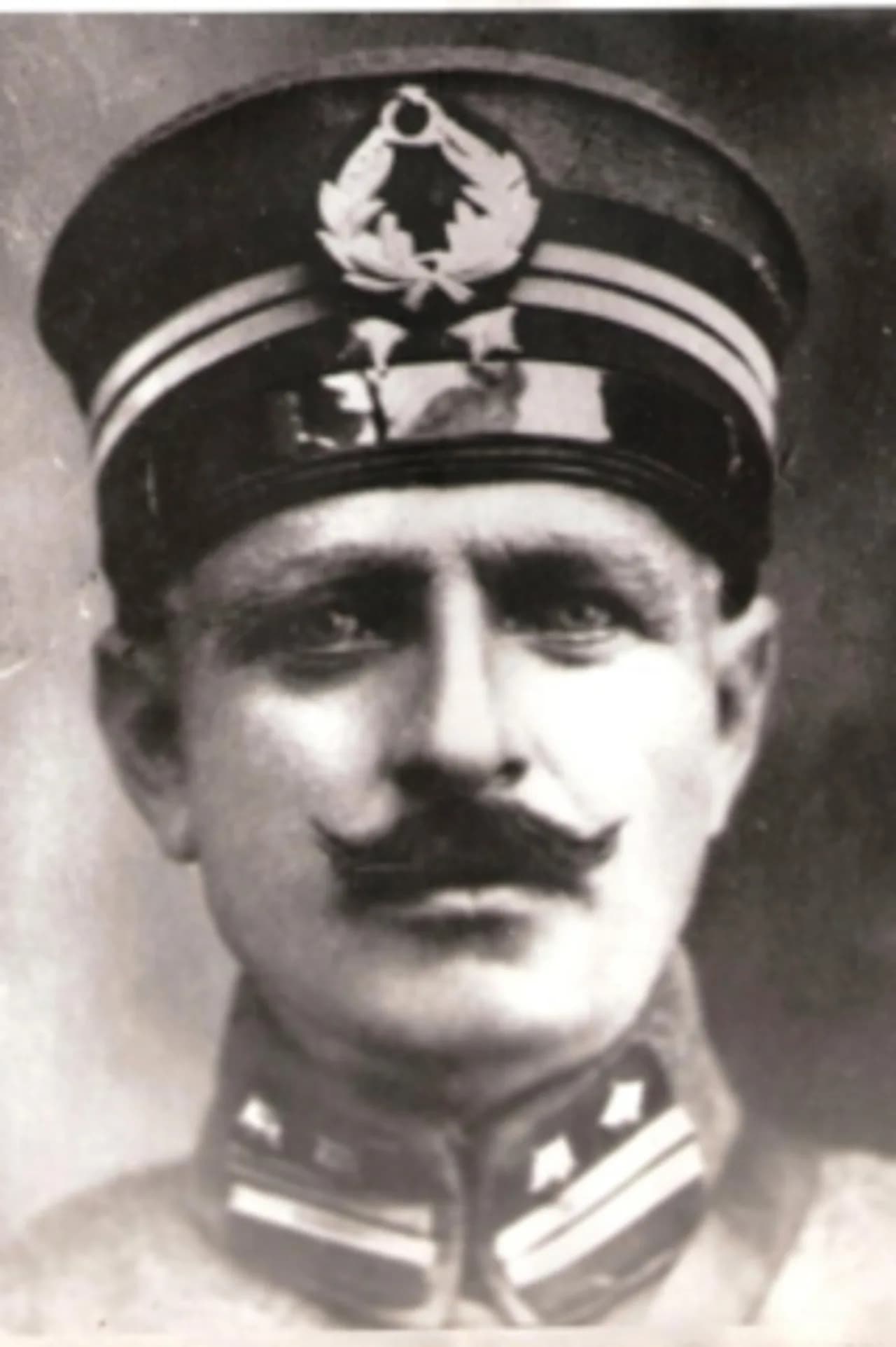 Mehmet Arif Şenerim
