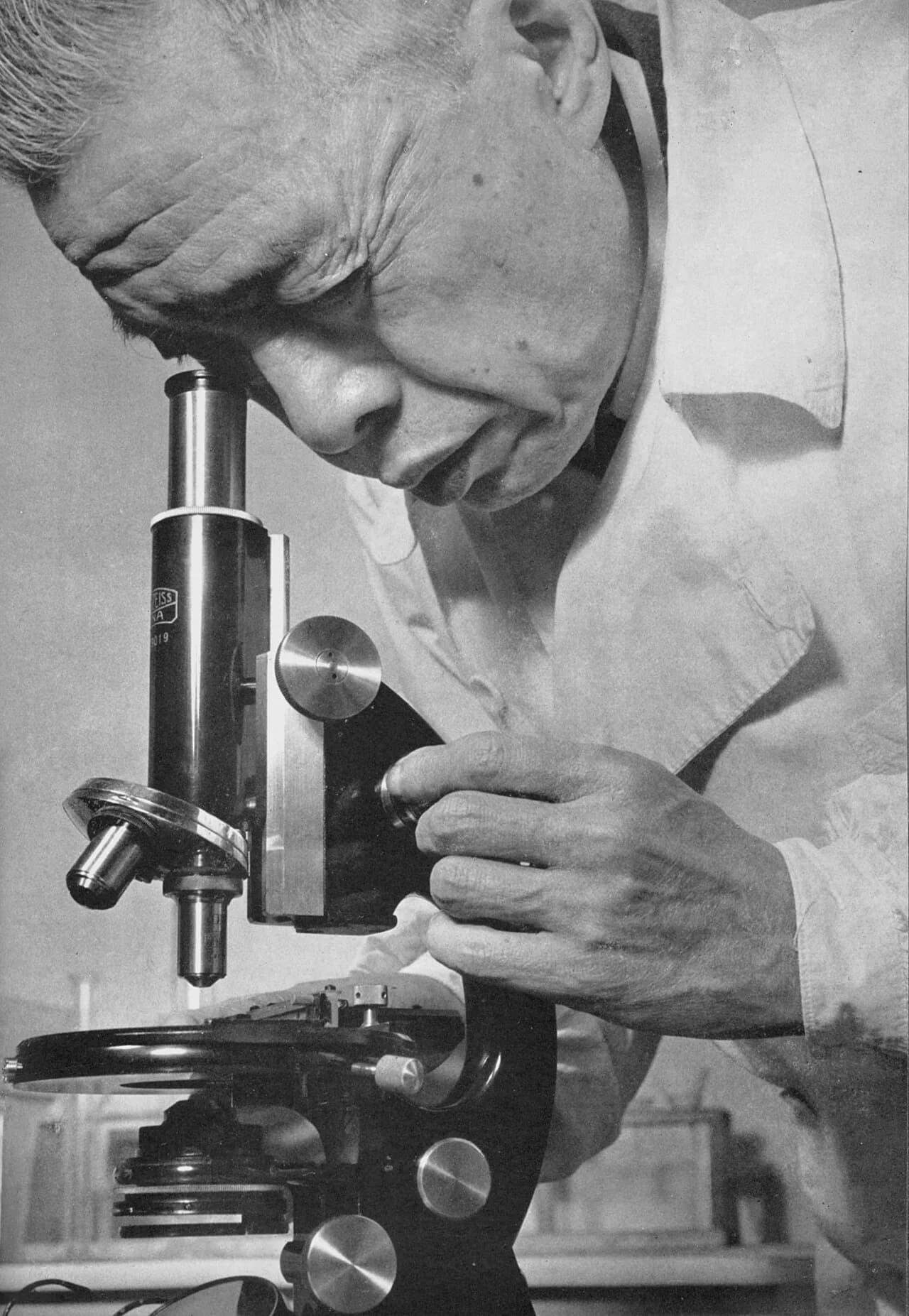 Kenzo Tamura